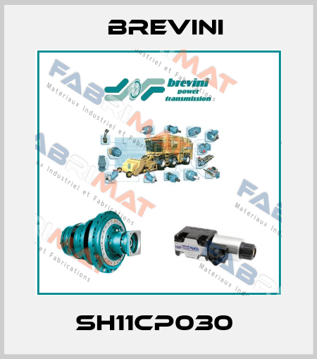 SH11CP030  Brevini