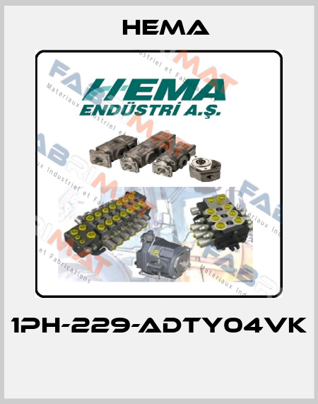 1PH-229-ADTY04VK  Hema