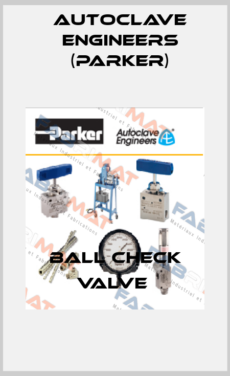 BALL CHECK VALVE  Autoclave Engineers (Parker)