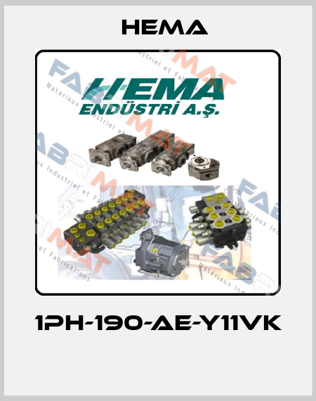 1PH-190-AE-Y11VK  Hema
