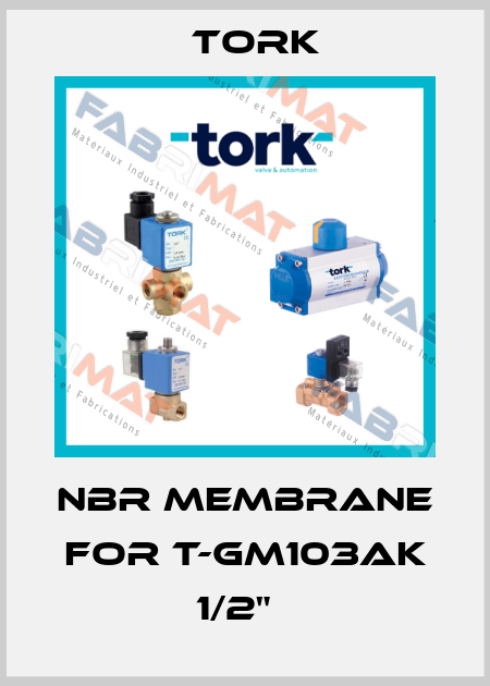 NBR membrane for T-GM103AK 1/2"   Tork