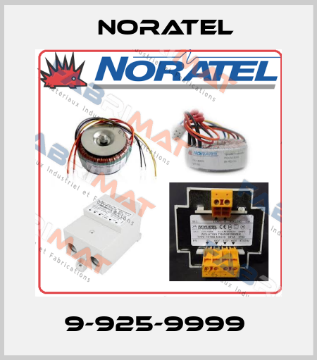 9-925-9999  Noratel
