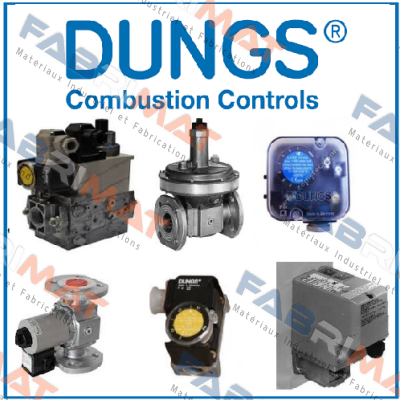 BCS 301 GAS CONTROL UNIT  Dungs