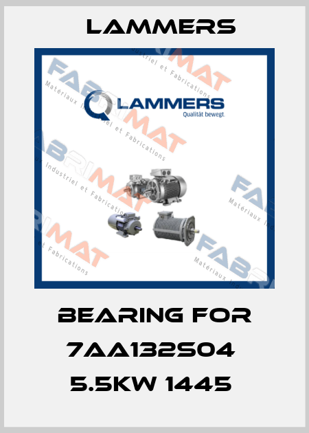 BEARING FOR 7AA132S04  5.5KW 1445  Lammers
