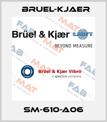 SM-610-A06 Bruel-Kjaer