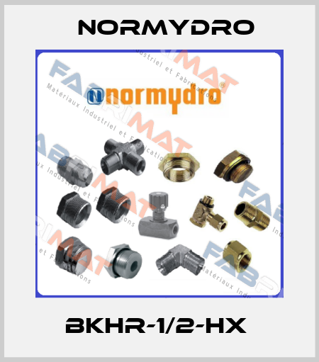 BKHR-1/2-HX  Normydro