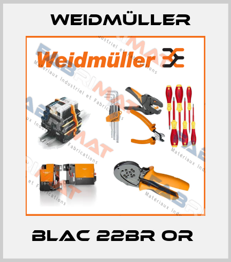 BLAC 22BR OR  Weidmüller