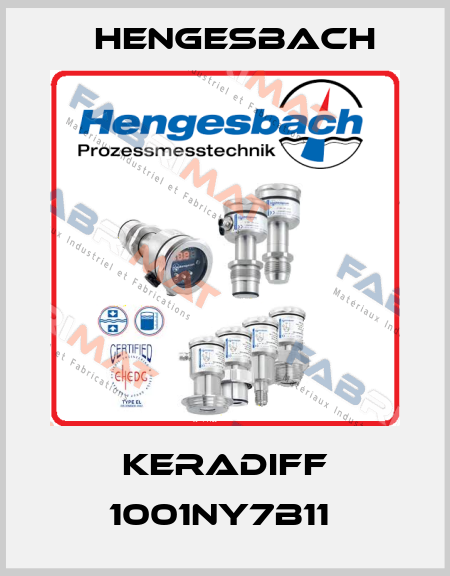 KERADIFF 1001NY7B11  Hengesbach