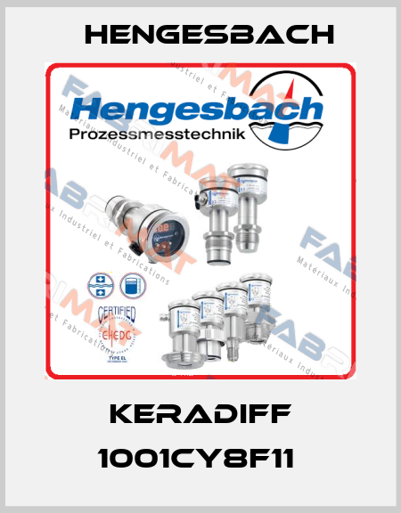 KERADIFF 1001CY8F11  Hengesbach