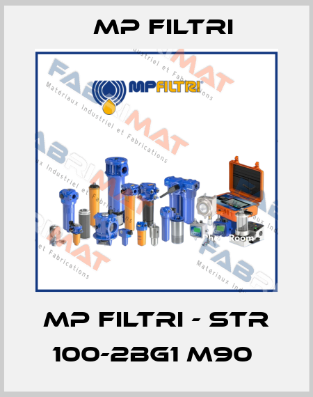 MP Filtri - STR 100-2BG1 M90  MP Filtri