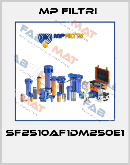 SF2510AF1DM250E1  MP Filtri
