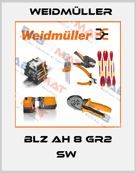BLZ AH 8 GR2 SW  Weidmüller