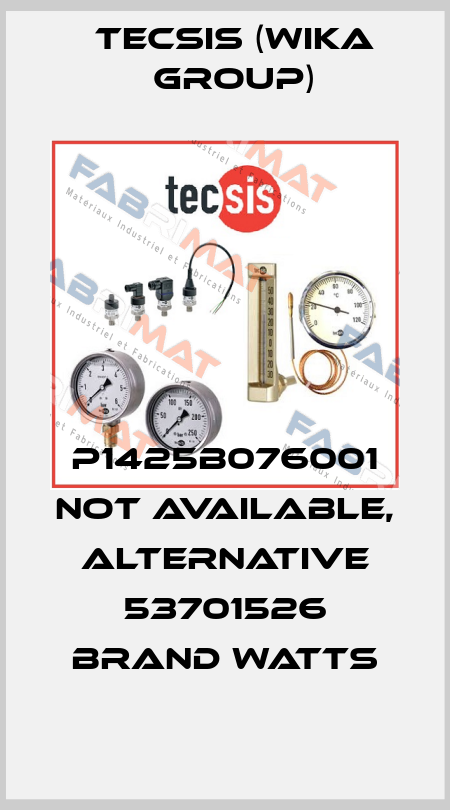 P1425B076001 not available, alternative 53701526 brand Watts Tecsis (WIKA Group)