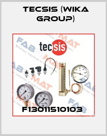F13011510103  Tecsis (WIKA Group)