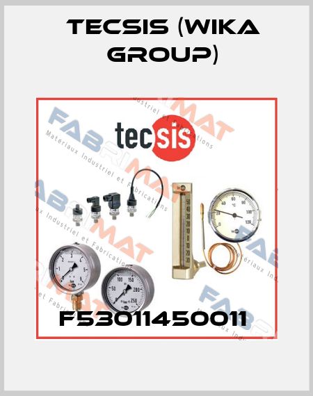 F53011450011  Tecsis (WIKA Group)