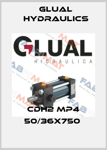 CDH2 MP4 50/36X750  Glual Hydraulics