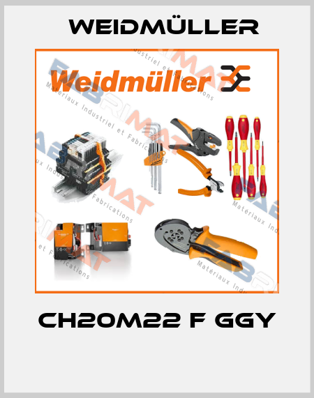 CH20M22 F GGY  Weidmüller
