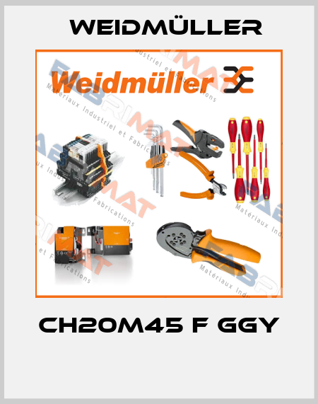 CH20M45 F GGY  Weidmüller