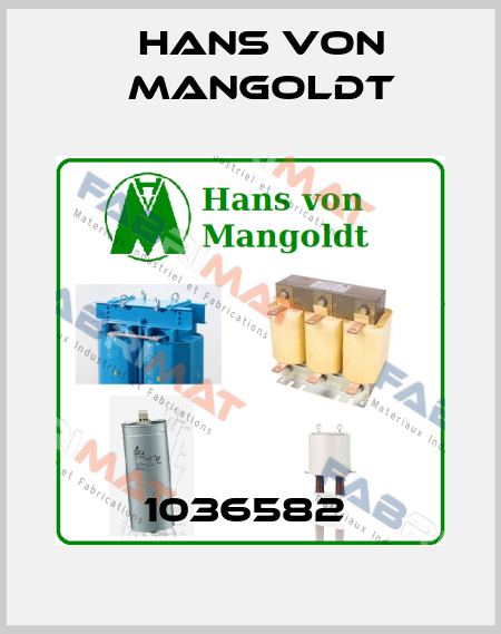 1036582  Hans von Mangoldt