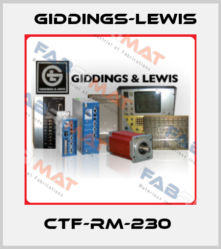 CTF-RM-230  Giddings-Lewis