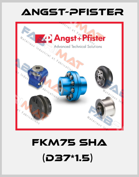 FKM75 ShA (d37*1.5)  Angst-Pfister