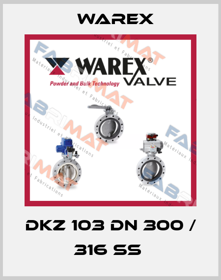 DKZ 103 DN 300 / 316 SS  Warex