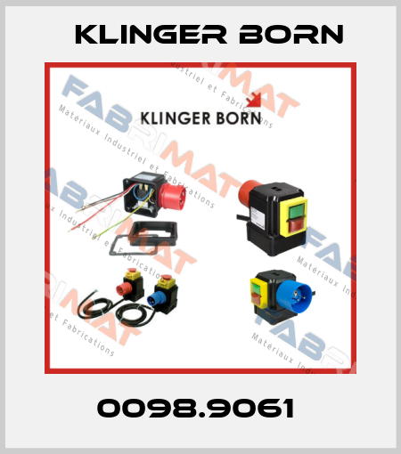 0098.9061  Klinger Born