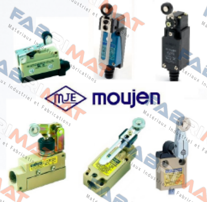 MVS-3604 IP67 safety switch 50 cm. Cable  Moujen