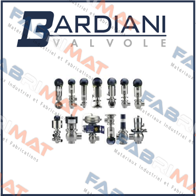 DN 50 ZVF BUTTERFLY VALVE MAINTENANCE KIT  Bardiani Valvole