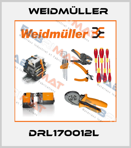 DRL170012L  Weidmüller