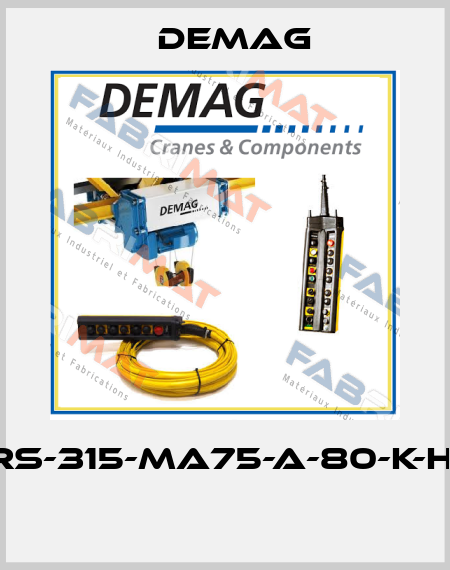 DRS-315-MA75-A-80-K-H-X  Demag