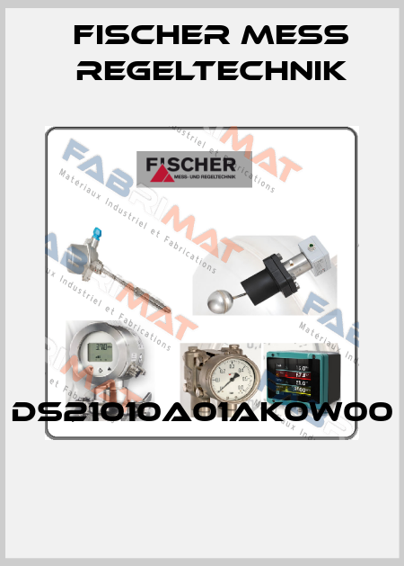 DS21010A01AK0W00  Fischer Mess Regeltechnik
