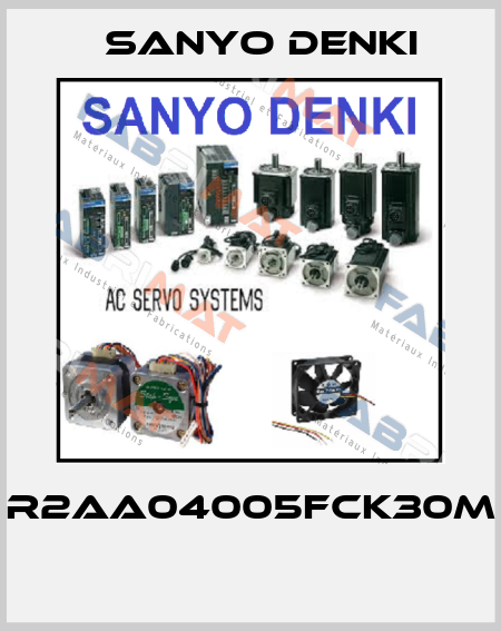 R2AA04005FCK30M  Sanyo Denki