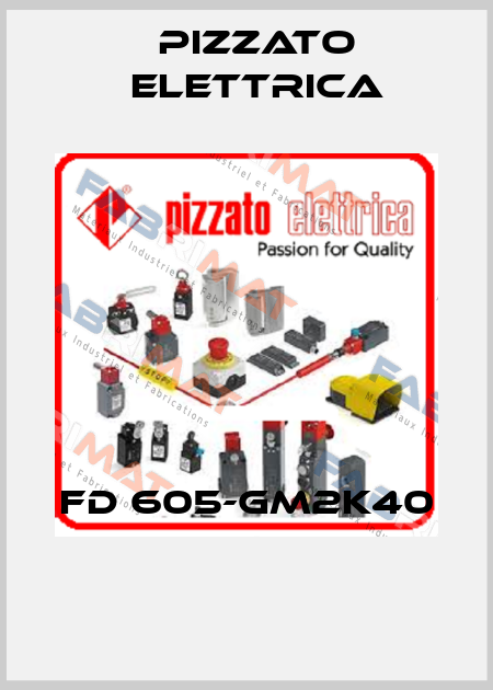 FD 605-GM2K40  Pizzato Elettrica