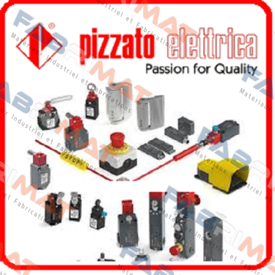 FL602-1M2K21  Pizzato Elettrica