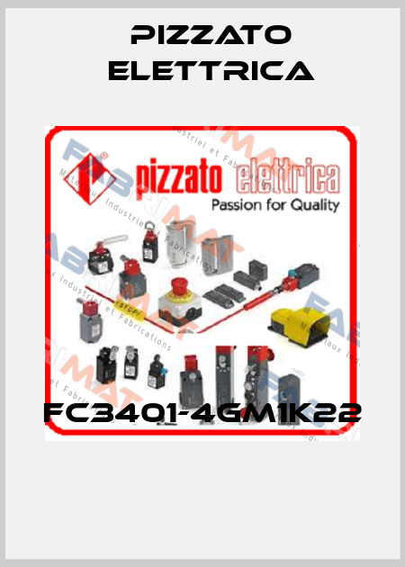 FC3401-4GM1K22  Pizzato Elettrica