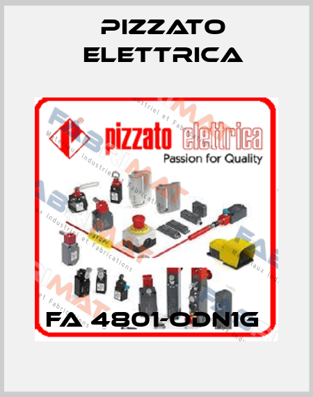 FA 4801-ODN1G  Pizzato Elettrica