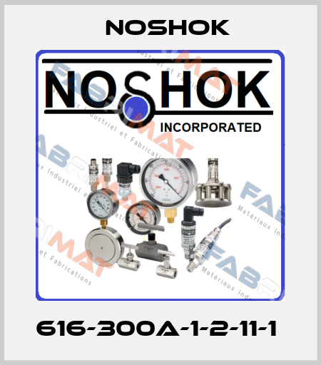616-300A-1-2-11-1  Noshok
