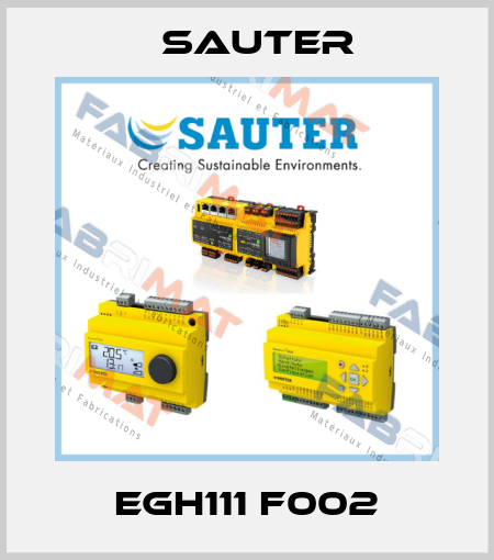 EGH111 F002 Sauter