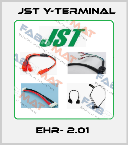 EHR- 2.01  Jst Y-Terminal