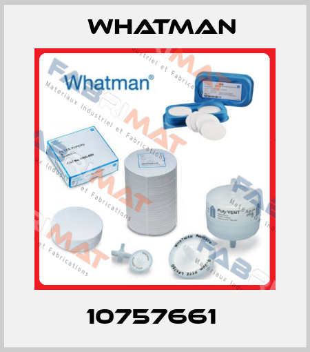 10757661  Whatman