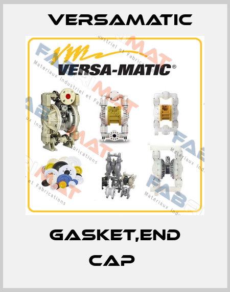 GASKET,END CAP  VersaMatic