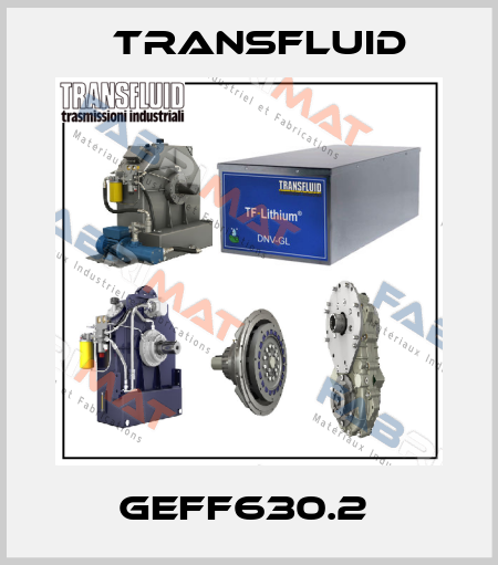 GEFF630.2  Transfluid