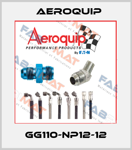 GG110-NP12-12 Aeroquip