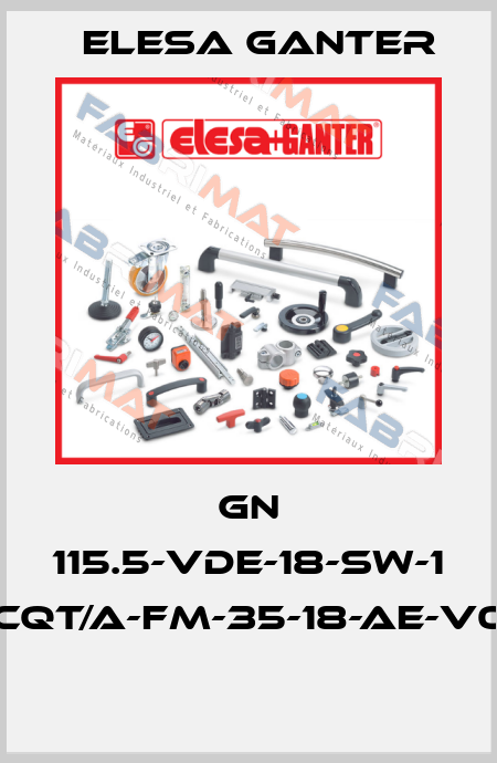 GN 115.5-VDE-18-SW-1 CQT/A-FM-35-18-AE-V0  Elesa Ganter