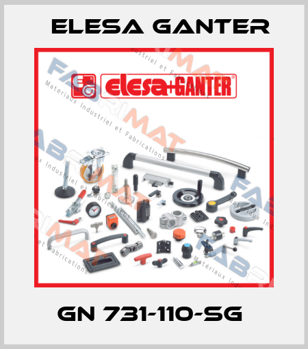 GN 731-110-SG  Elesa Ganter