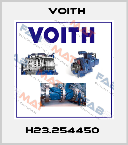 H23.254450  Voith