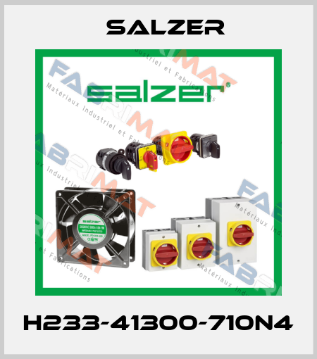 H233-41300-710N4 Salzer
