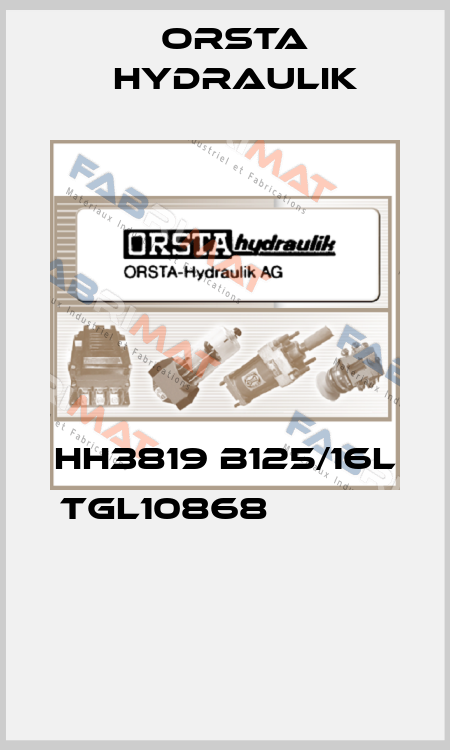 HH3819 B125/16L TGL10868                                               Orsta Hydraulik