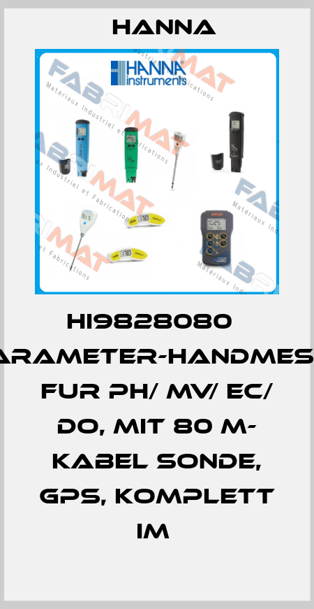 HI9828080   MULTIPARAMETER-HANDMESSGERÄT FUR PH/ MV/ EC/ DO, MIT 80 M- KABEL SONDE, GPS, KOMPLETT IM  Hanna